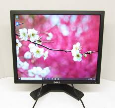 Dell E190SB / P1913B 19" Square
