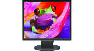 HP L1951G 19 Inch LCD Monitor | Square Display | VGA + DVI | Grade A Used | Office & Home Monitor