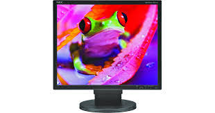 HP L1951G 19 Inch LCD Monitor | Square Display | VGA + DVI | Grade A Used | Office & Home Monitor
